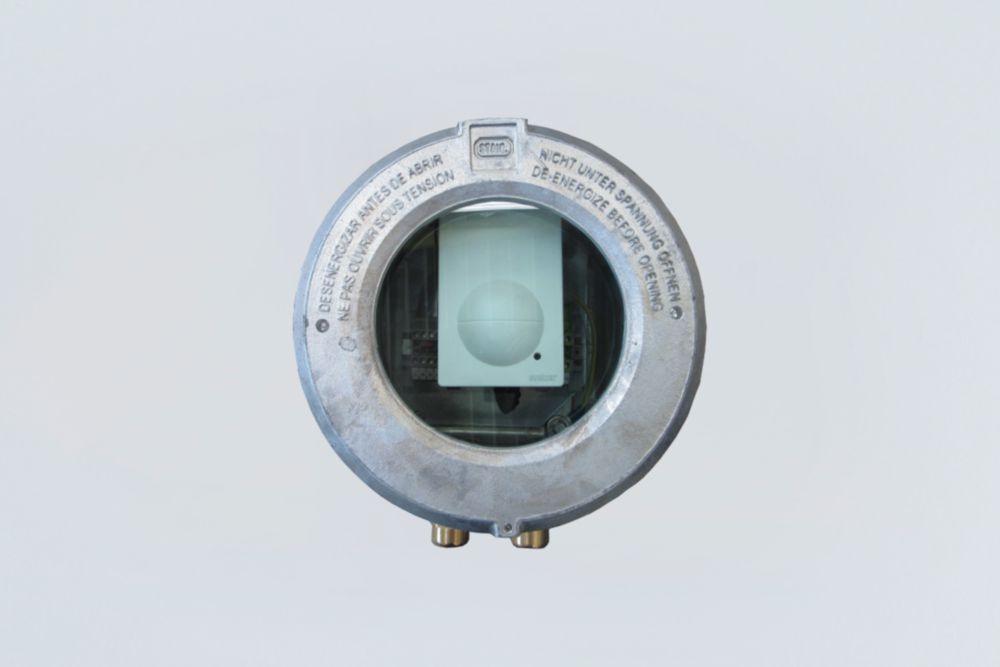 Motion sensor Series 8265 R. STAHL