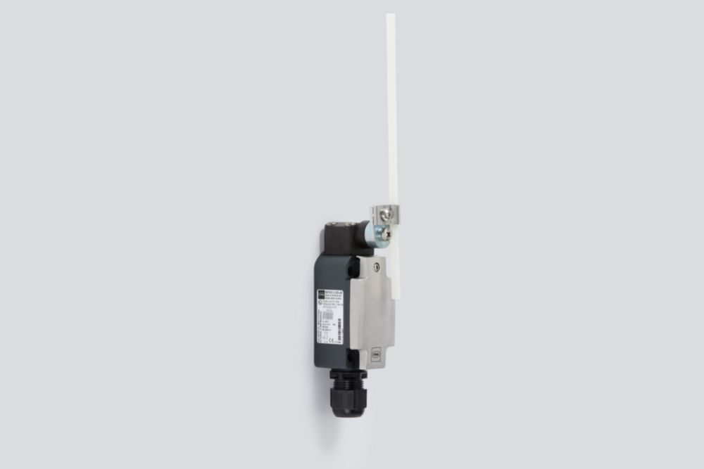 Ex Position switch made of metal Series 8074/2 R. STAHL