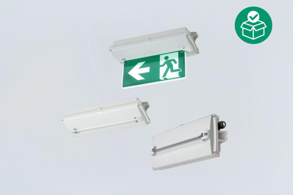 6109/111-0101-160-0111-31-4850-001, Emergency luminaire LED, Control interface: without, Variant: With diffuser 2 x 40° Zone 1, 2, 21, 22
