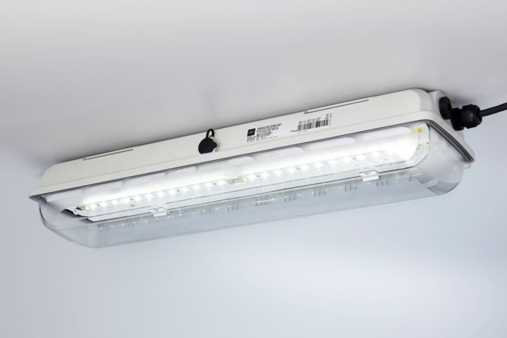 Langfeldleuchte mit LED EXLUX Reihe L402/4 R. STAHL