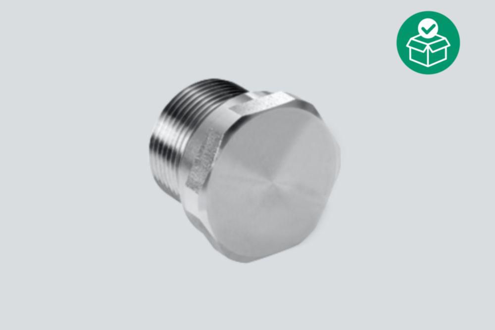 Stopping plug, M20, External hexagon, Packaging unit: 1, Nickel-plated brass, Zone 1/2/20/21/22