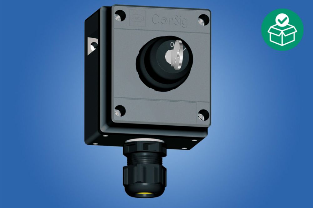 8040/1180X-08M01SA05, Key-operated switch, Installation position middle: Key-operated switch, Latching/latching, Contact element NC/NO,   Zone 1, 2, 21, 22