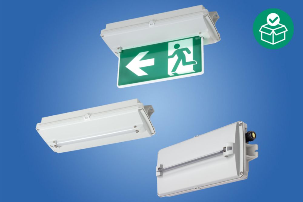 6109/111-0101-160-0111-31-4850-001, Sicherheitsleuchte LED, Steuerschnittstelle: ohne, Variante: mit Diffusor 2 x 40° Zone 1, 2, 21, 22