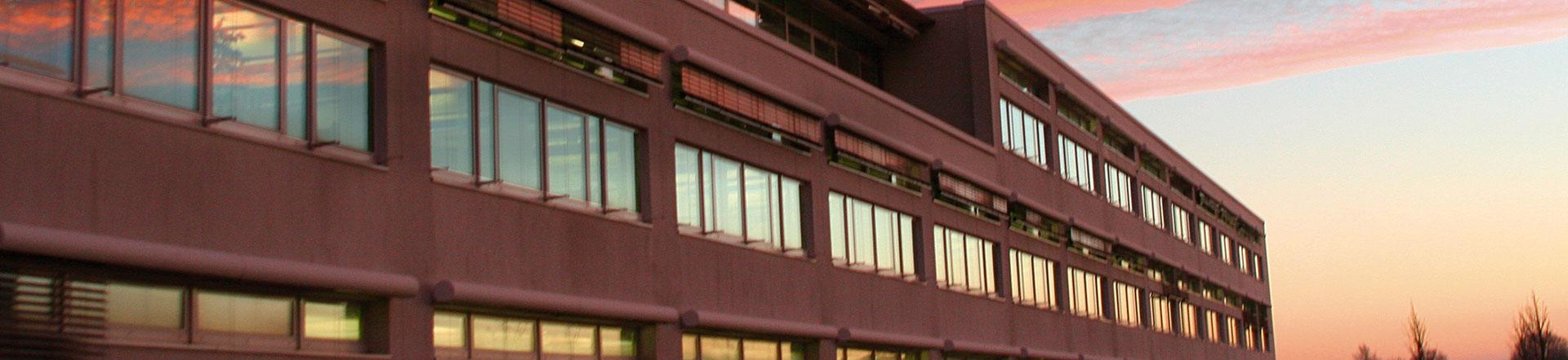 Ex Arbeitsweise Praktiken Unternehmensführung R. STAHL Ex Arbeitsweise Praktiken Unternehmensführung R. STAHL