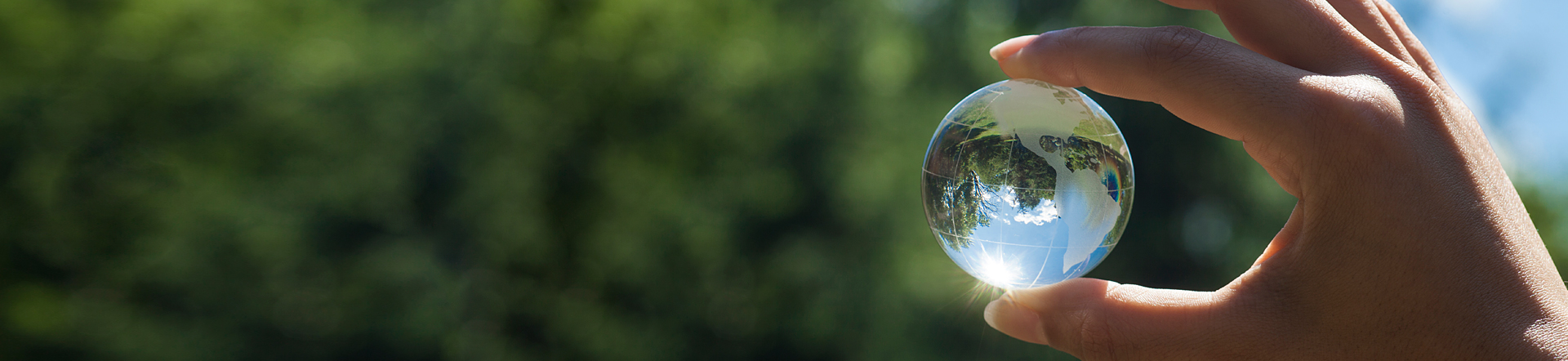 Ex Nachhaltigkeit ökologische Verantwortung R. STAHL