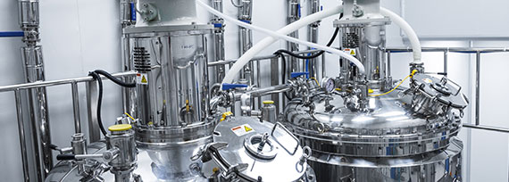 Ex Automation Grounding Systems Multi Point Grounding R. STAHL