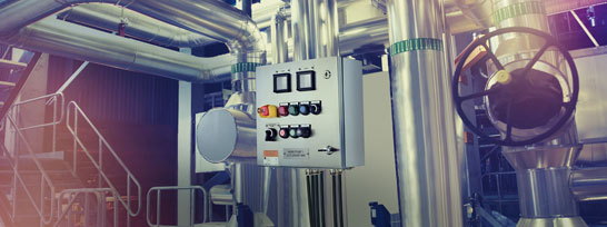 Ex control station demands R. STAHL Ex control station that meets every demand R. STAHL