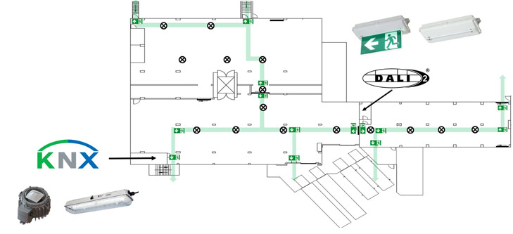 Ex Floorplan Lighting DALI R. STAHL 