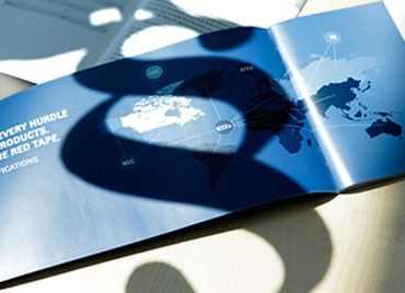 Ex statutory mandates standards R. STAHL Ex statutory mandates standards R. STAHL